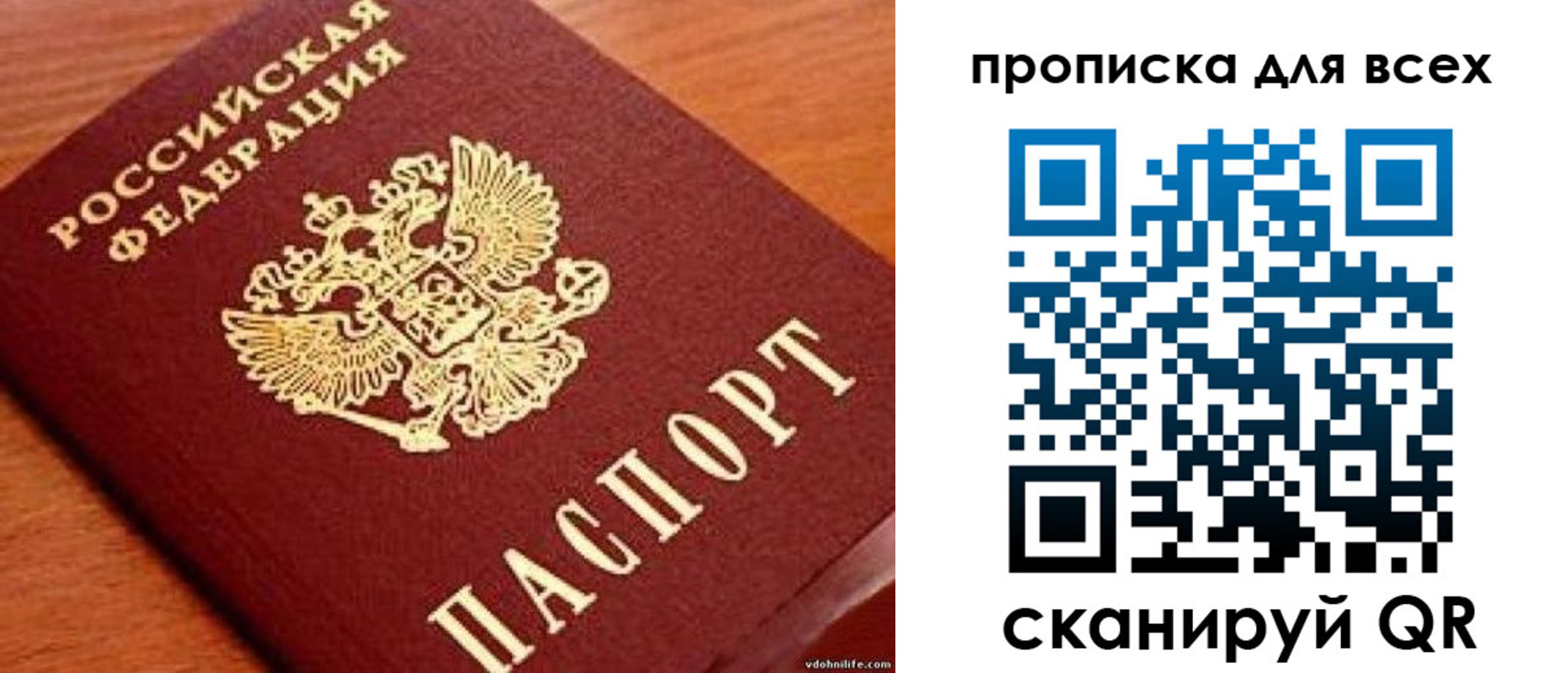 где прописаться в Почепе