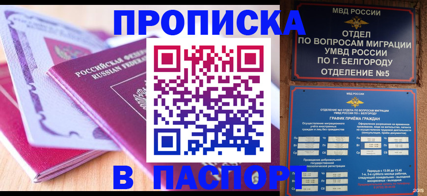 временная регистрация законно в Почепе